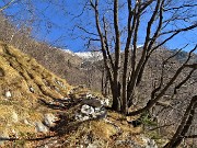 A Capanna 2000 con anello dal ‘Sentiero del Merlàs'- 9febb22  - FOTOGALLERY